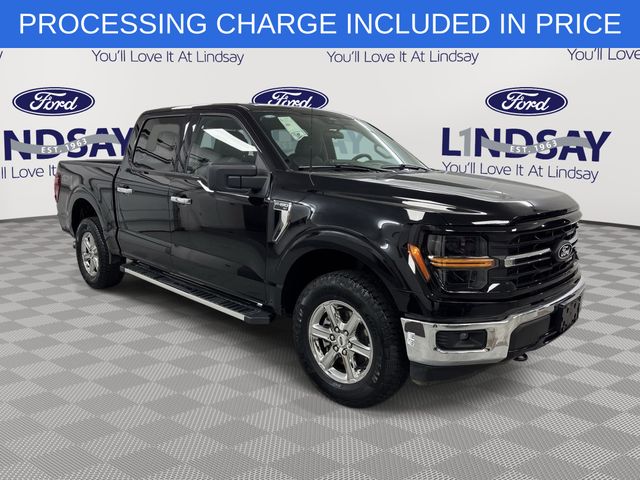 Black Metallic 2025 Ford F-150 Pickup Truck Four-Wheel Drive Automatic
