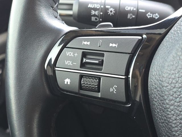 2025 Honda Pilot Touring:L168808A
