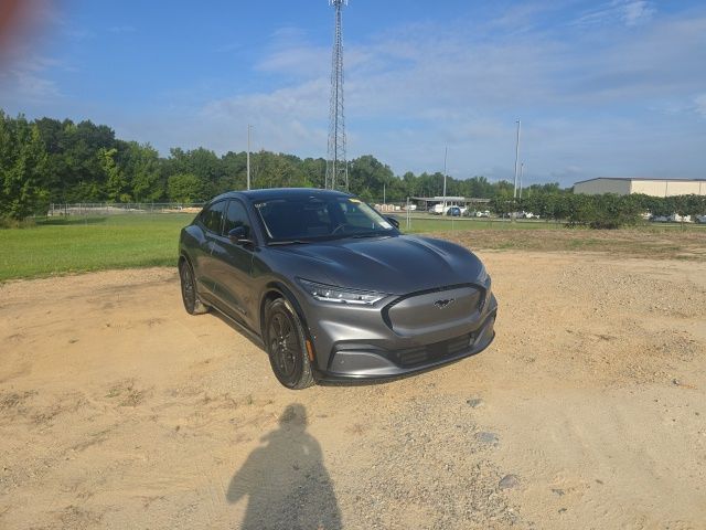 Used 2023 Gray Ford California Route 1 image 13