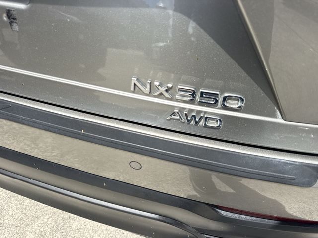 2025 Lexus NX - $45,998