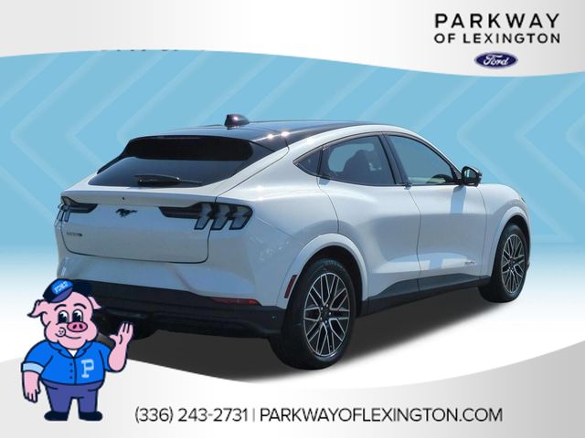 New 2026 White Ford Premium image 5