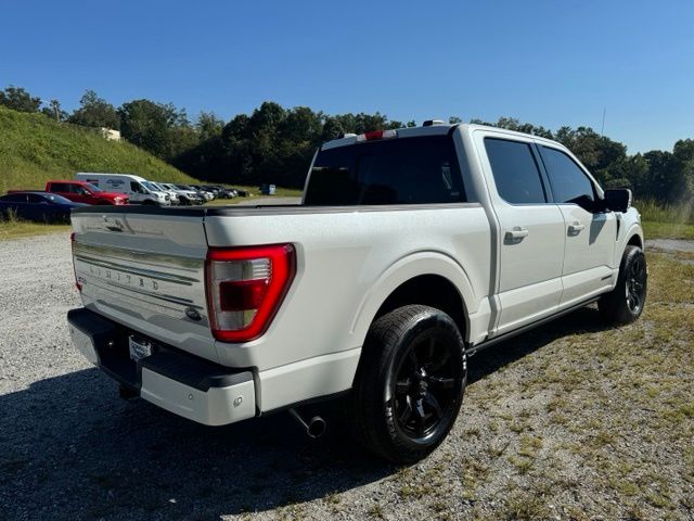 Used 2021 White Ford Limited image 8