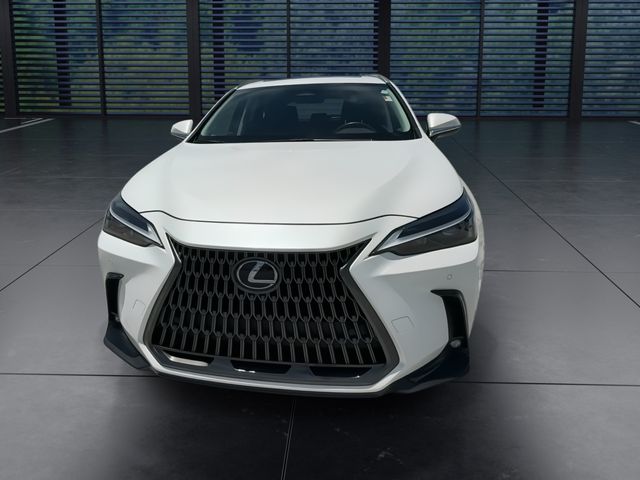2024 Lexus NX - $40,998