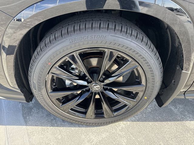 2025 Lexus NX - $56,998