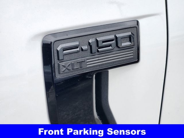 2025 Ford F-150 XLT photo
