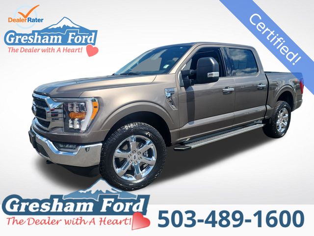 Stone Gray Metallic 2022 Ford F-150 Pickup Truck Four-Wheel Drive Automatic