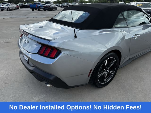 2025 Ford Mustang EcoBoost Premium Silver at DeMontrond Mazda