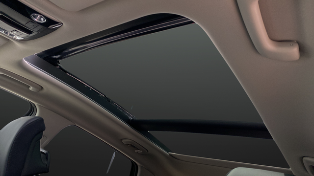 New 2026 Black Kia SX-Prestige image 12