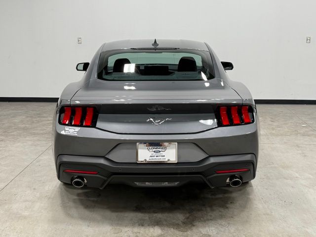 2025 Ford Mustang EcoBoost photo