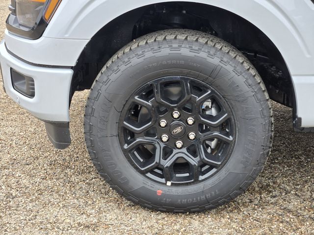 2025 Space White Metallic Ford F-150 XLT 4X4 Truck