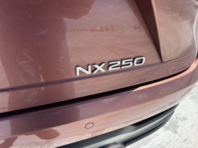 2025 Lexus NX - $38,688