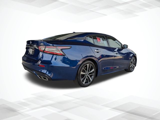 2023 Nissan Maxima SV photo
