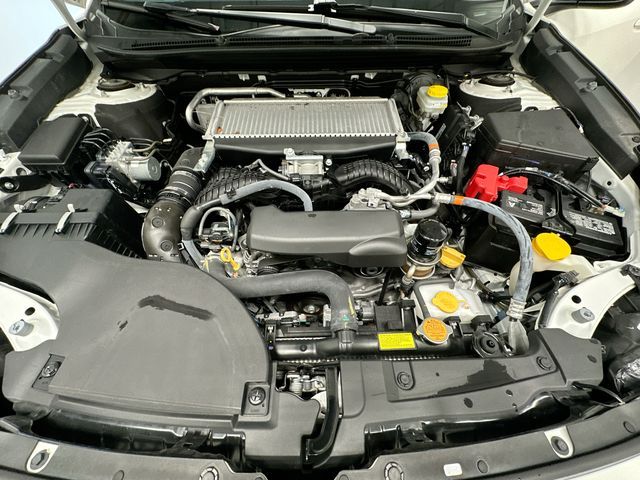 2024 Subaru Outback Wilderness White at Rafferty Subaru