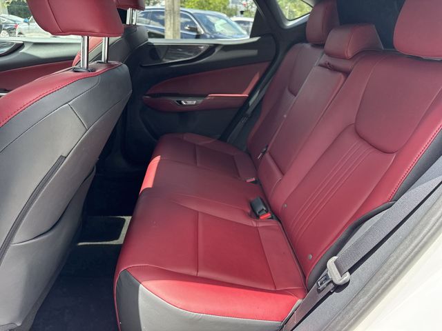 2024 Lexus NX 250 - Photo 23