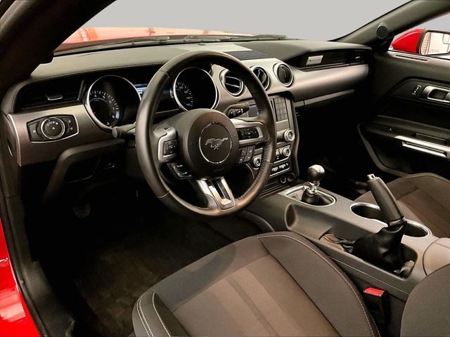 2019 Ford Mustang GT Red at Grove City Ford