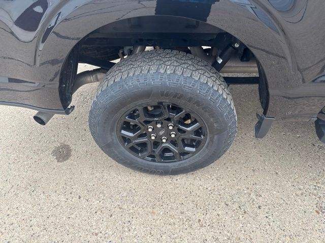 2024 Black Ford F-150 XLT 4X4 Truck