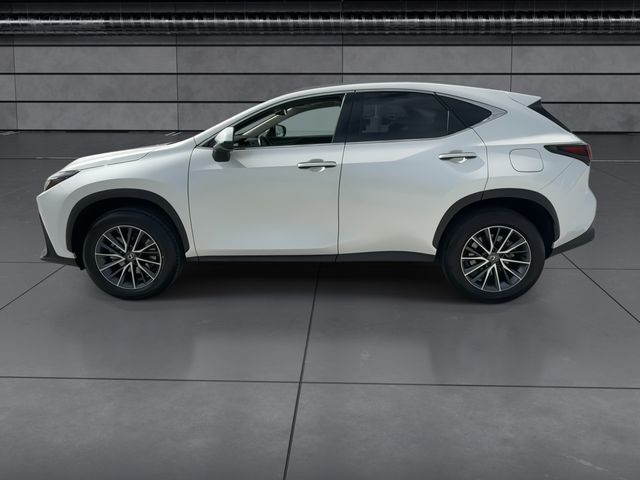 2025 Lexus NX - $43,588