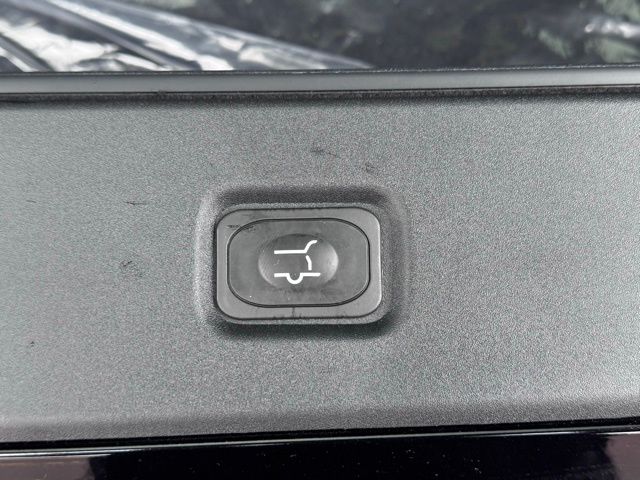 2025 Ford Expedition Active MAX