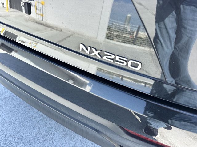 2024 Lexus NX - $36,988