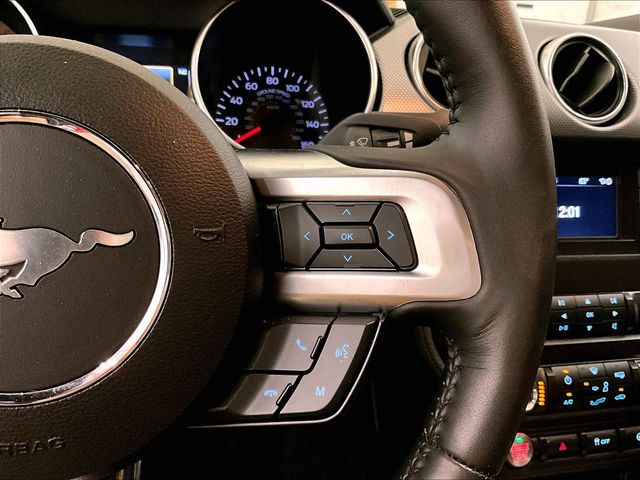 2019 Ford Mustang GT Red at Grove City Ford