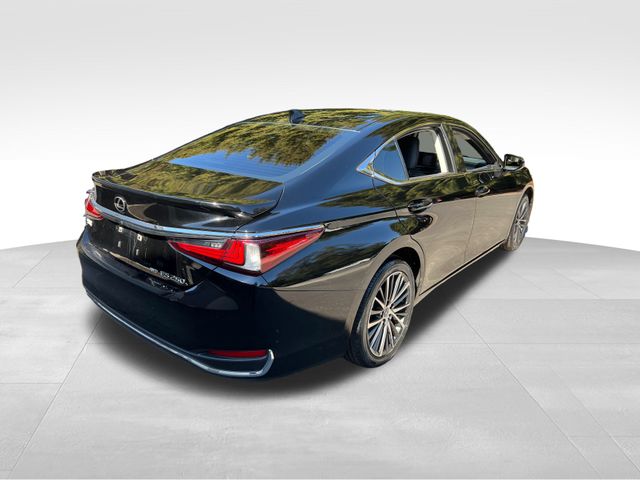 2022 Lexus ES 250 10