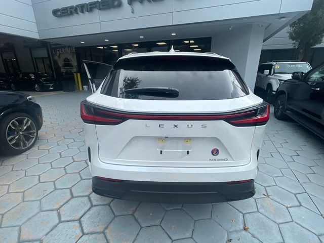2024 Lexus NX
