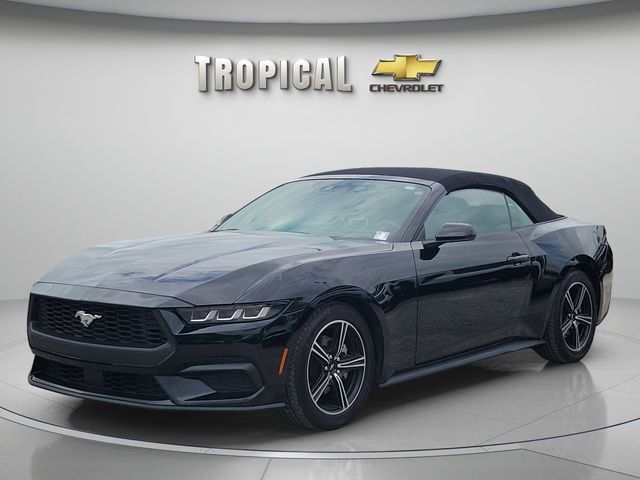 Shadow Black 2025 Ford Mustang EcoBoost Convertible RWD Convertible Rear-Wheel Drive Automatic