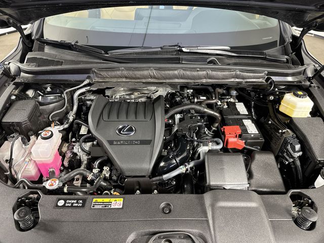 2024 Lexus RX RX photo