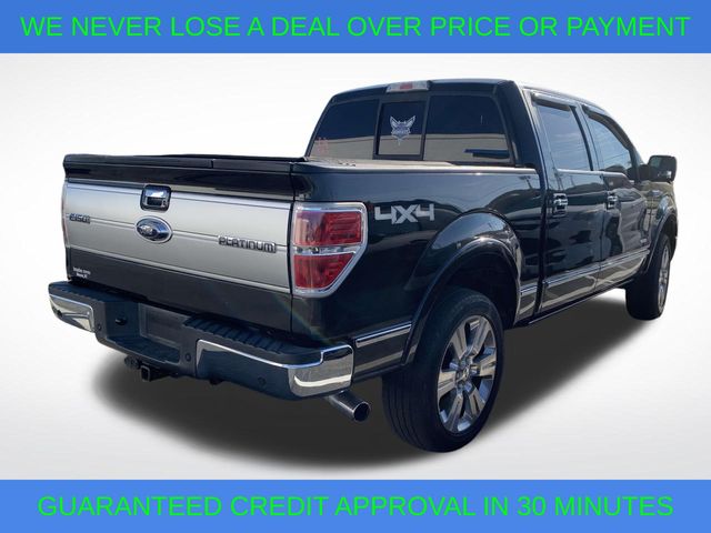 2013 Ford F-150 Platinum 10