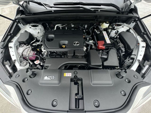 2025 Lexus NX - $43,998
