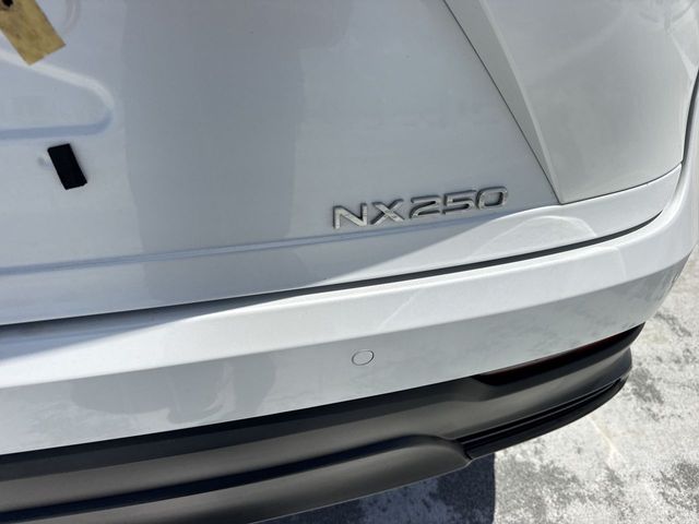 Used 2025 Lexus NX SUV