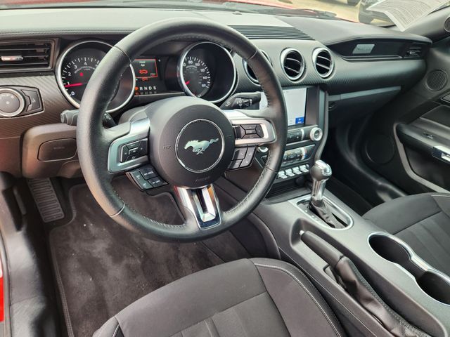 2023 Ford Mustang EcoBoost photo