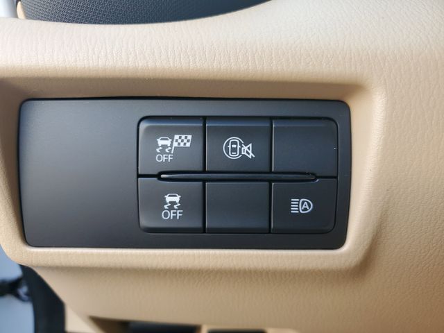 Miniatura 13
