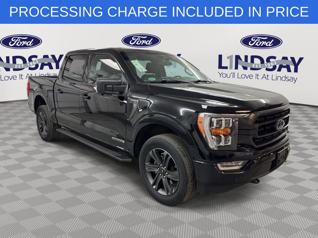 Black Metallic 2023 Ford F-150 Pickup Truck Four-Wheel Drive Automatic