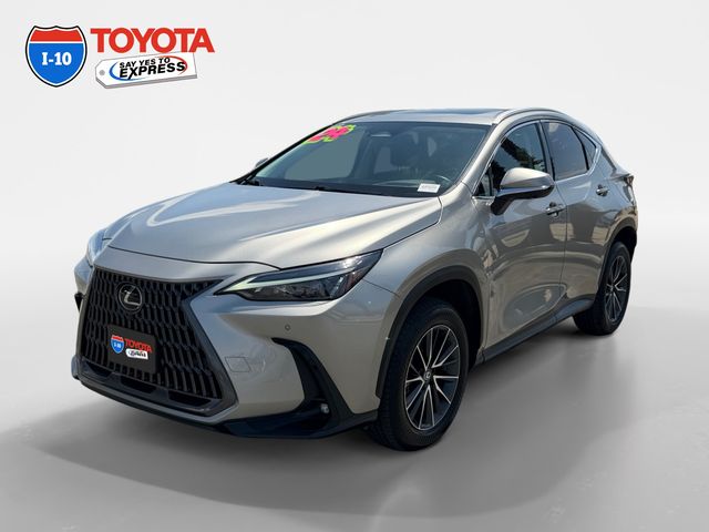 2024 Lexus NX
