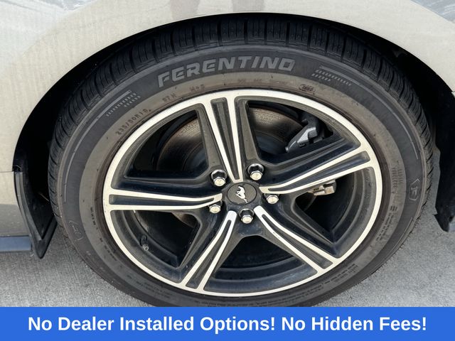 2024 Ford Mustang EcoBoost Premium Gray at DeMontrond Mazda