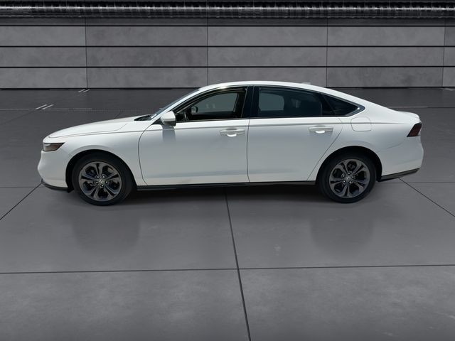 Used 2024 Honda Accord Hybrid Sedan