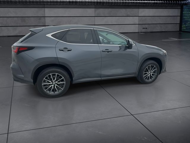 2024 Lexus NX - $40,998