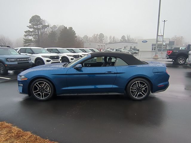 Used 2022 Blue Ford EcoBoost Premium image 10