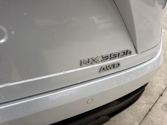 2025 Lexus NX - $44,998