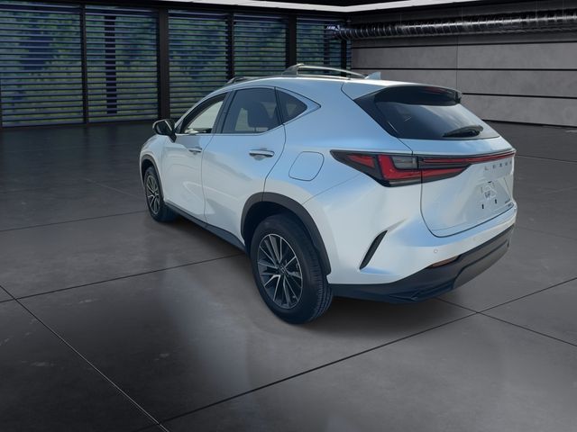 2025 Lexus NX - $47,998