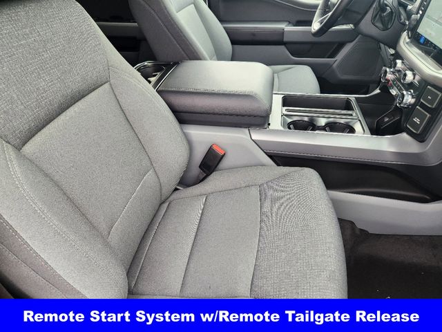 2025 Ford F-150 XLT photo