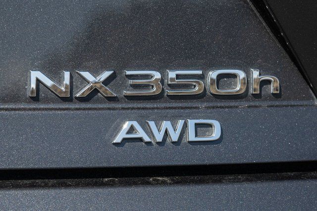 2024 Lexus NX 350h Premium photo