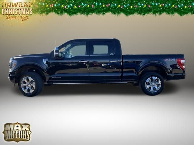 2023 Ford F-150 Platinum 12