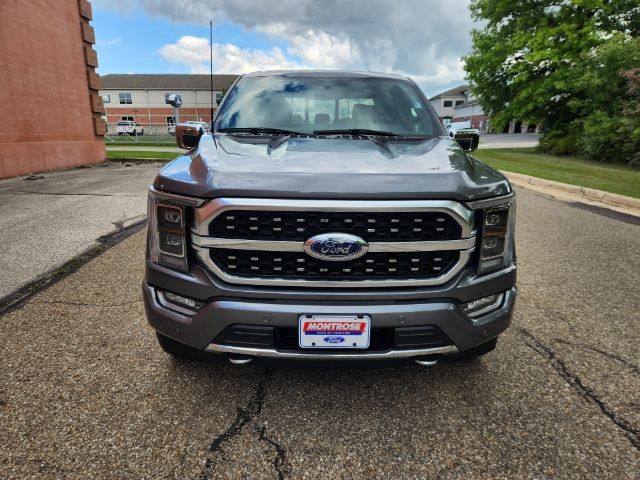 2023 Ford F-150 Platinum 6