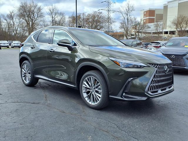 Green Pearl 2026 Lexus NX 350 Executive AWD SUV / Crossover 8-Speed Automatic