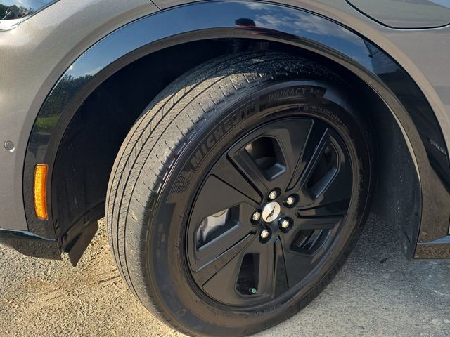 Used 2023 Carbonized Gray Metallic Ford California Route 1 image 33