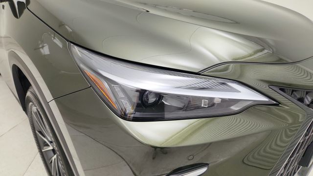 2023 Lexus NX 250 Premium Green at DeMontrond Auto Country