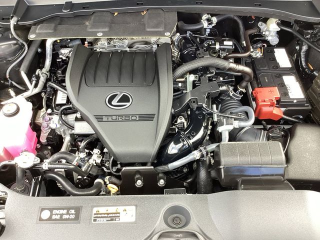 Used Car 2025 Lexus Tx  350 Premium For Sale Under $60,000 In San Antonio, Texas