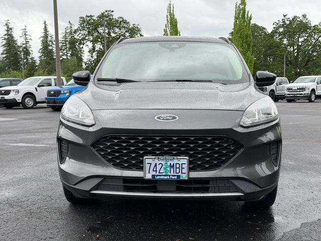 used 2020 Ford Escape Hybrid car, priced at $21,995